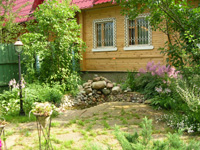 защита древесины